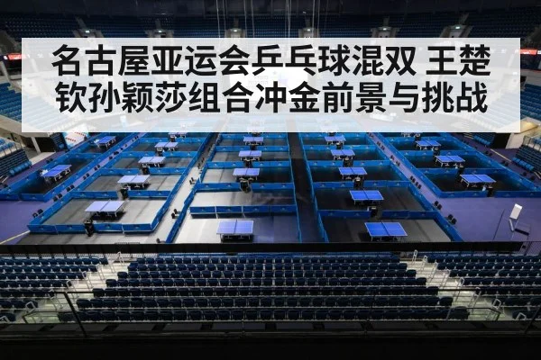 table tennis arena crowd